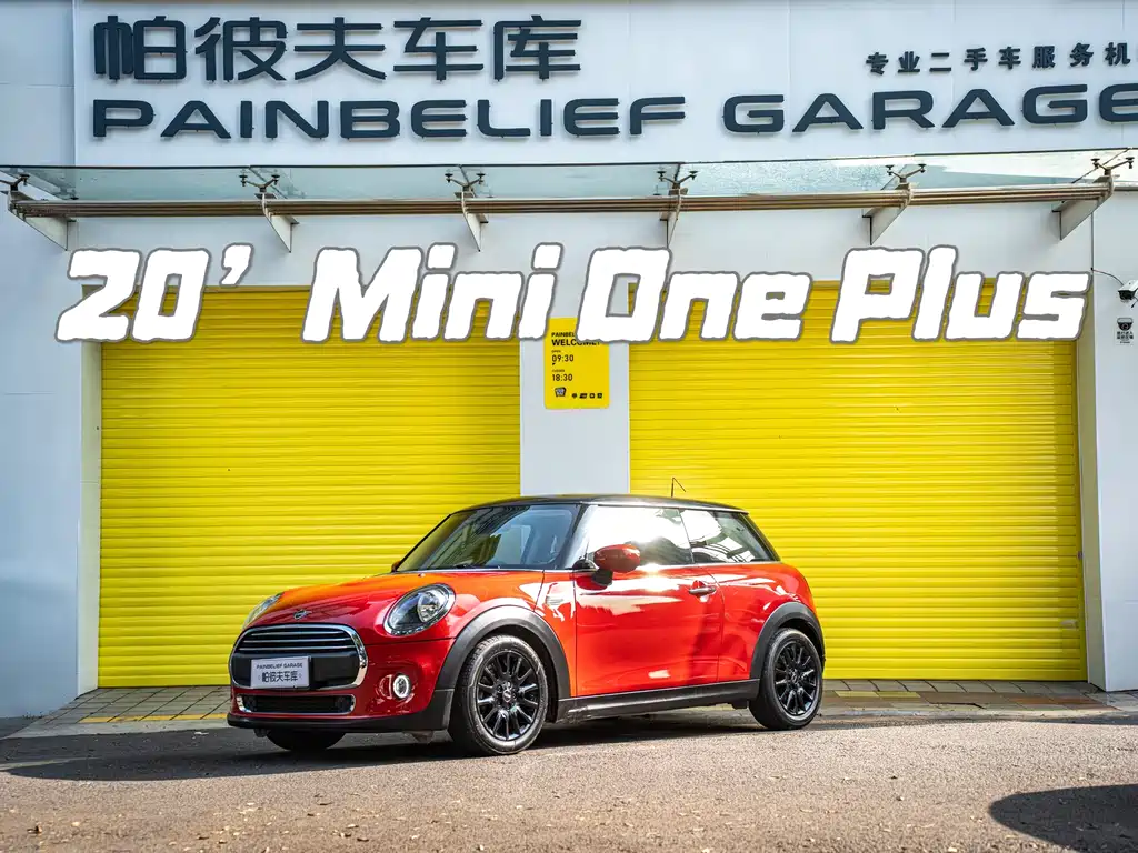 Mini Mini 2020