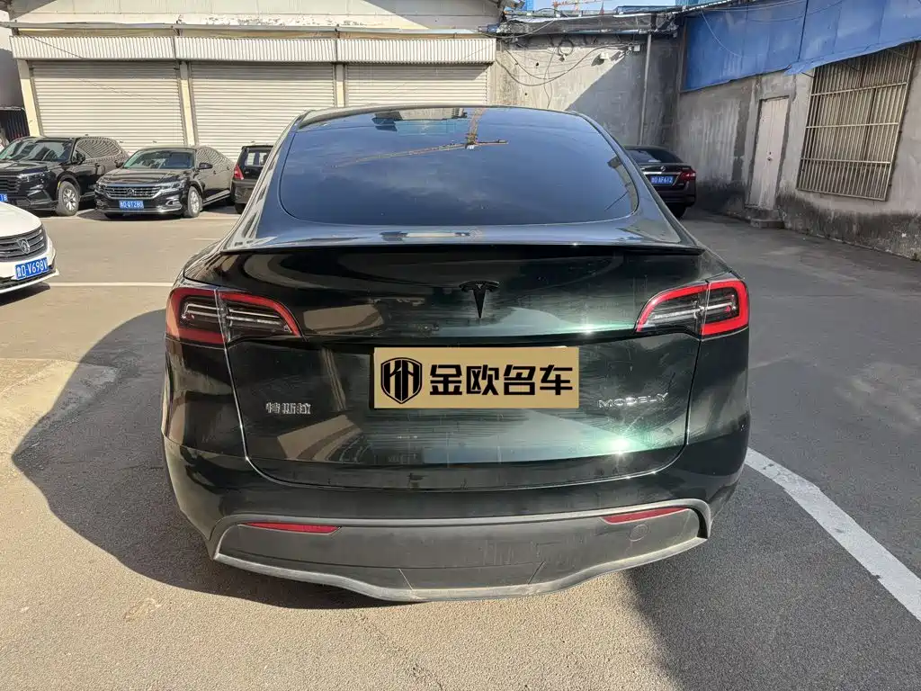Tesla Model Y — миниатюра 8