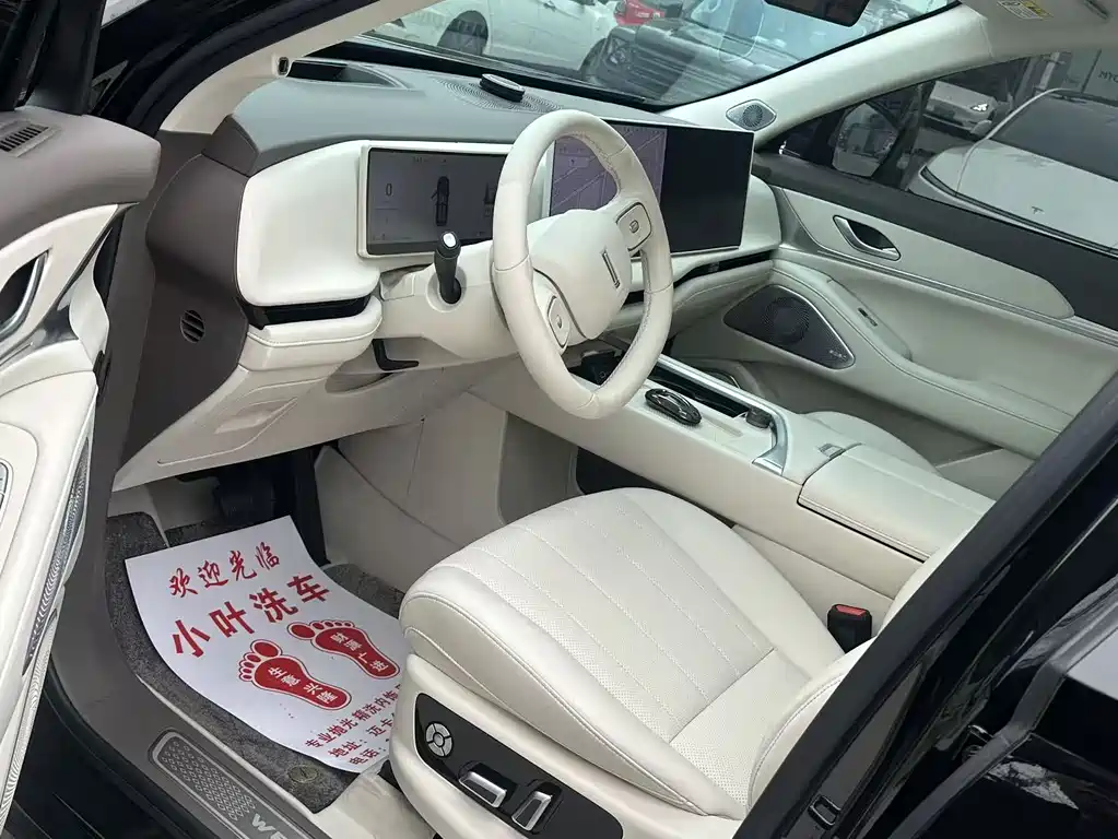 WEI PAI WEI BRAND BLUE MOUNTAIN