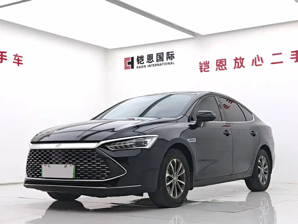 Byd Qin PLUS 2024