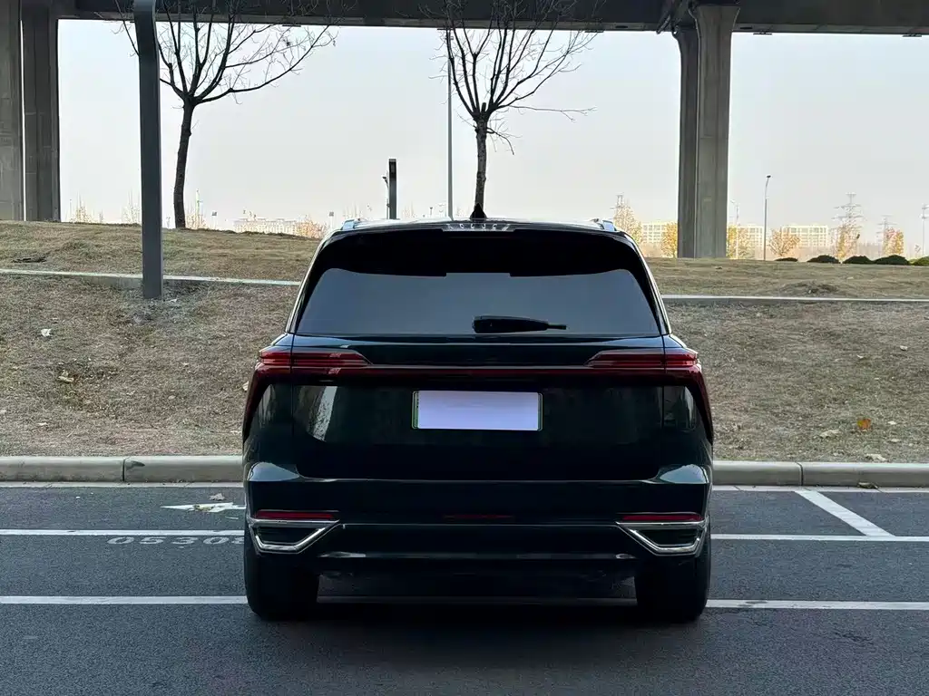 WEI PAI WEI BRAND BLUE MOUNTAIN