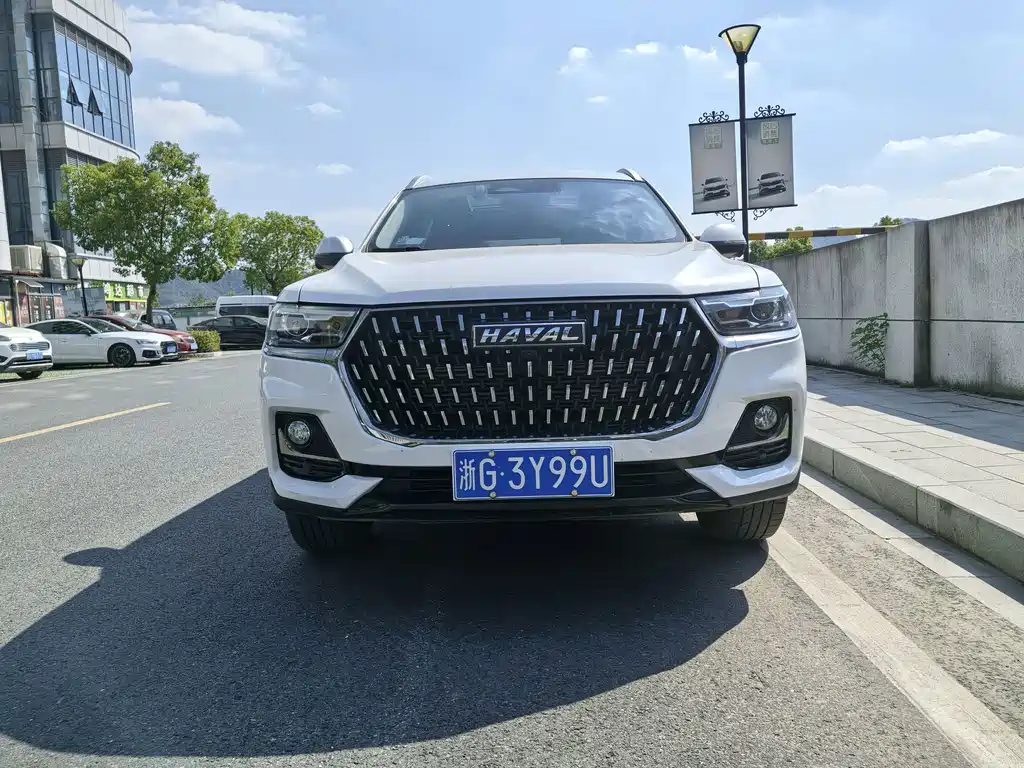 Haval H6 — миниатюра 2
