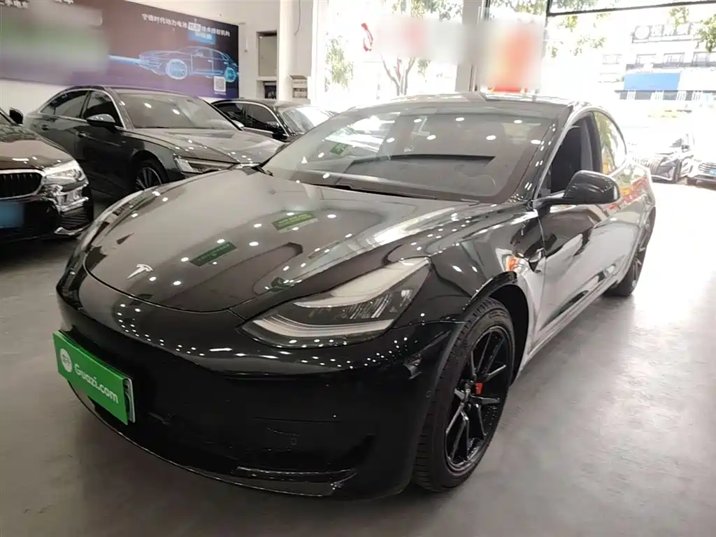 Tesla Model 3 2021