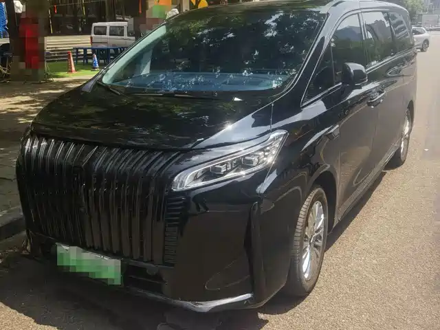 2025 Wey Gaoshan
