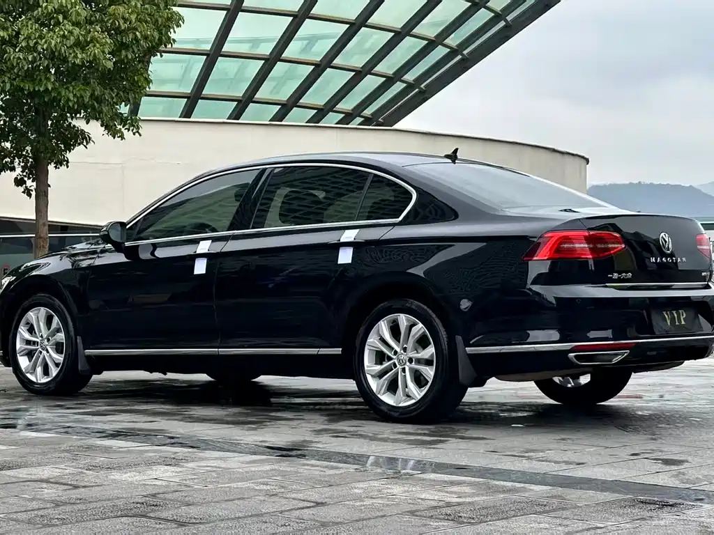 Volkswagen Magotan 2019 380TSI DSG Luxury V
