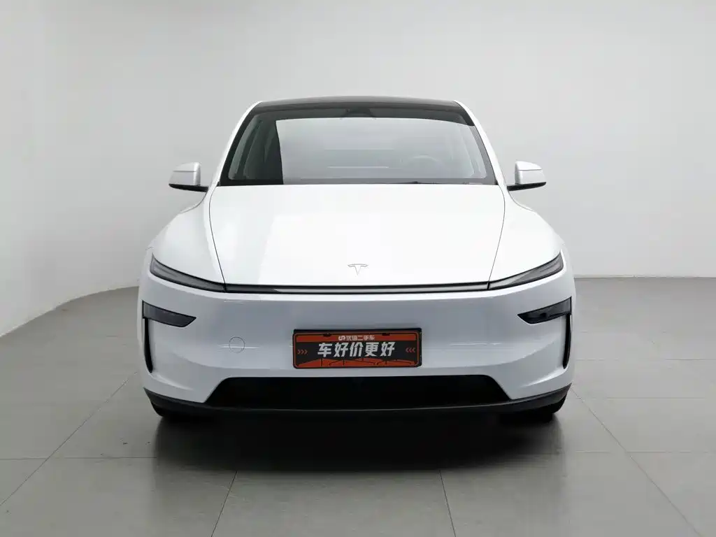 Tesla Model Y — миниатюра 3