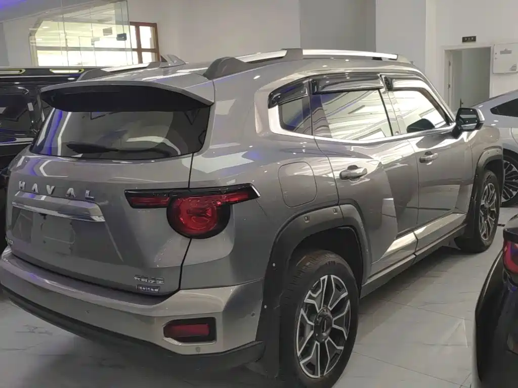 Haval Big Dog PLUS New Energy — миниатюра 7