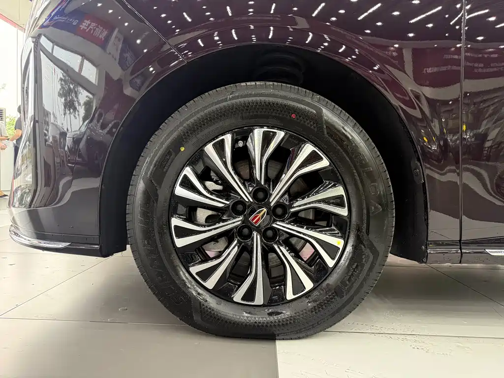 Hongqi HQ9 PHEV 2024 2.0T