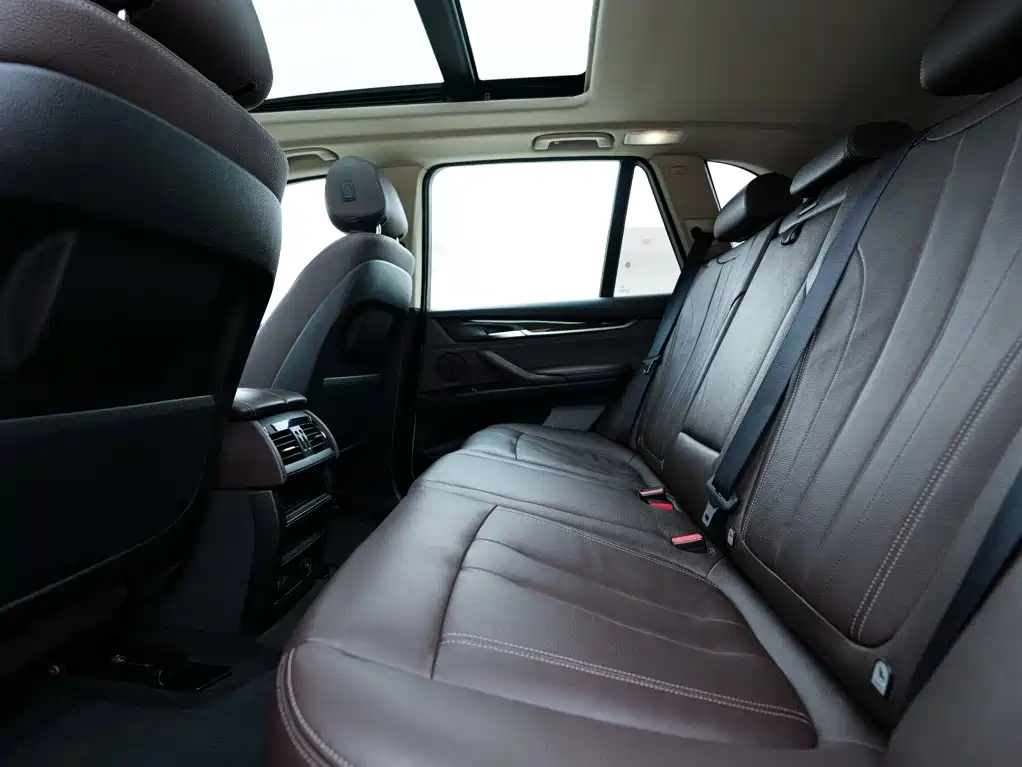 BMW X5 (Import) — миниатюра 20
