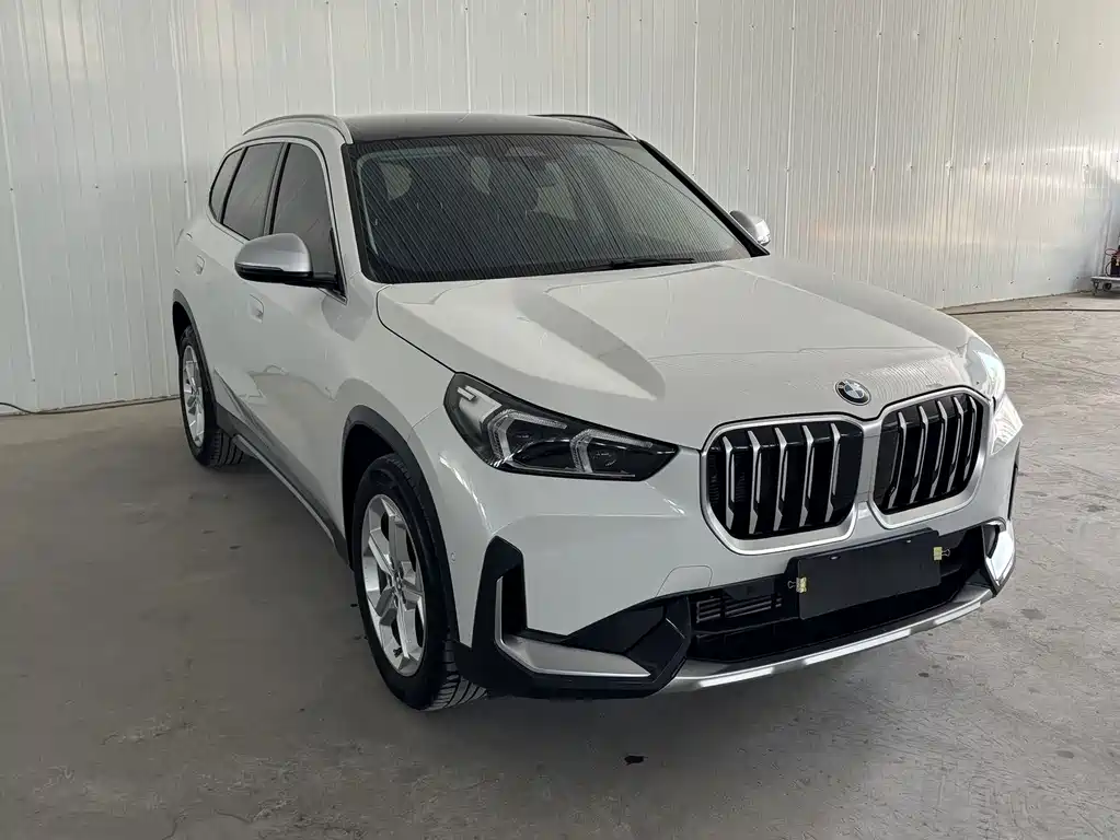 BMW X1 — миниатюра 2