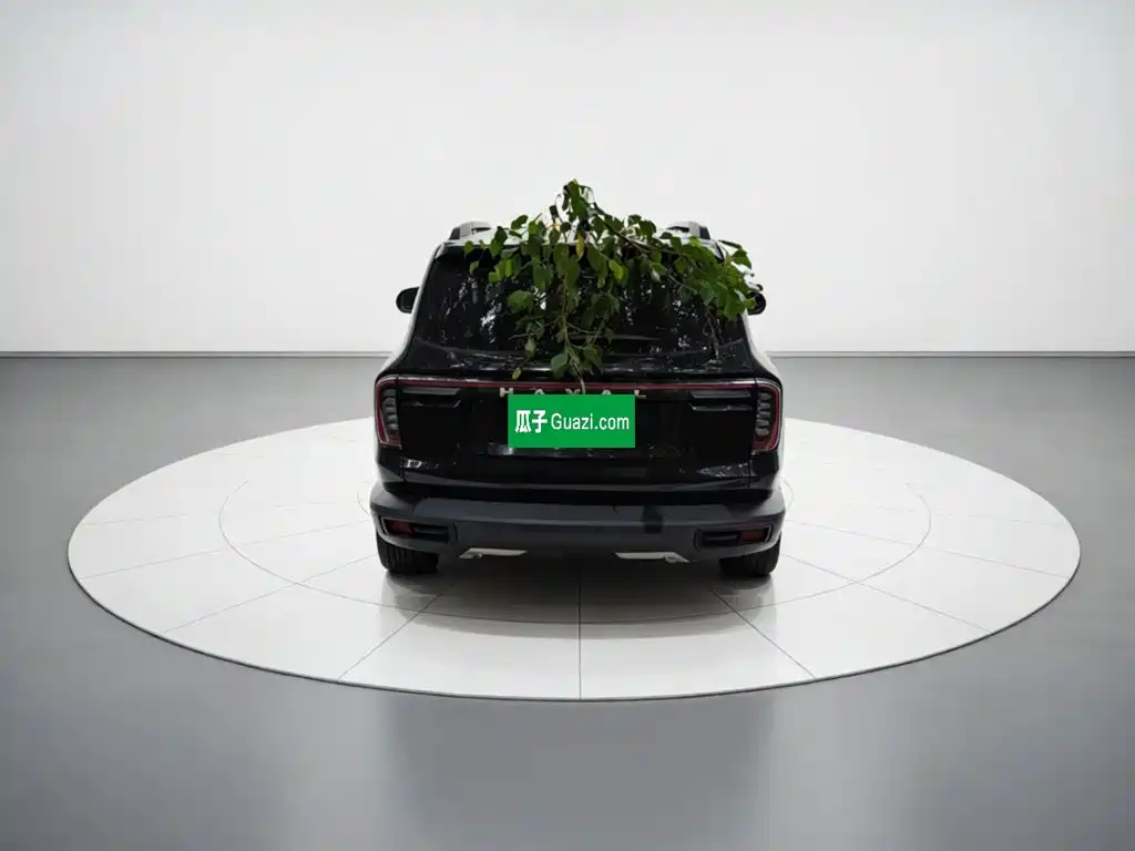 Haval Big Dog — миниатюра 3