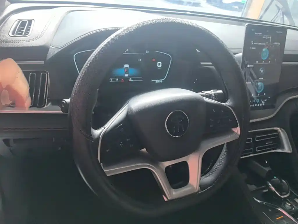 BYD PLUS — миниатюра 11