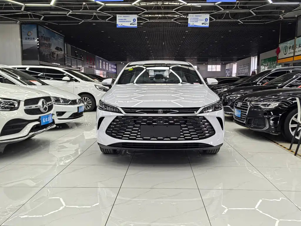 Byd Qin PLUS 2026