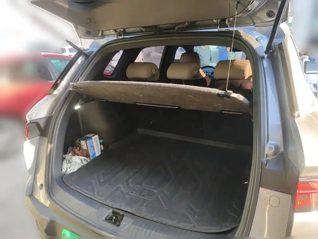 BYD Pro New Energy — миниатюра 10