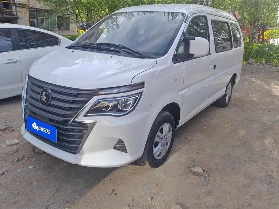 Fengxing Lingzhi 2024