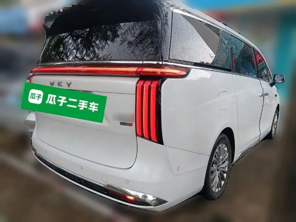 Wey 魏牌 高山新能源 — миниатюра 6