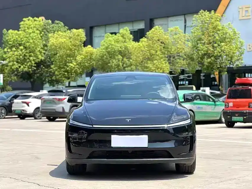 Tesla Model Y — миниатюра 2