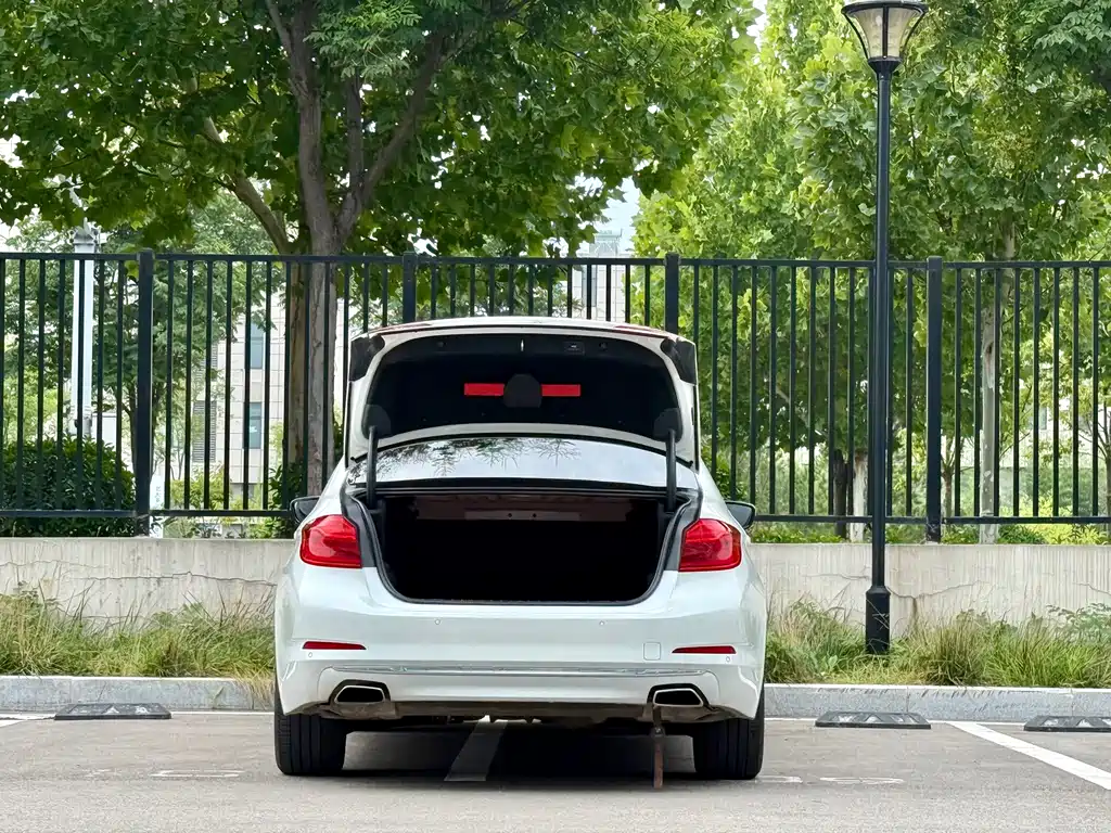 BMW 5 Series — миниатюра 19