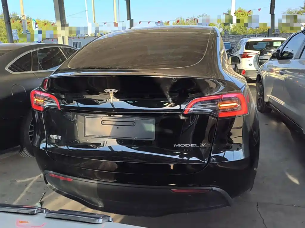 Tesla Model Y — миниатюра 6