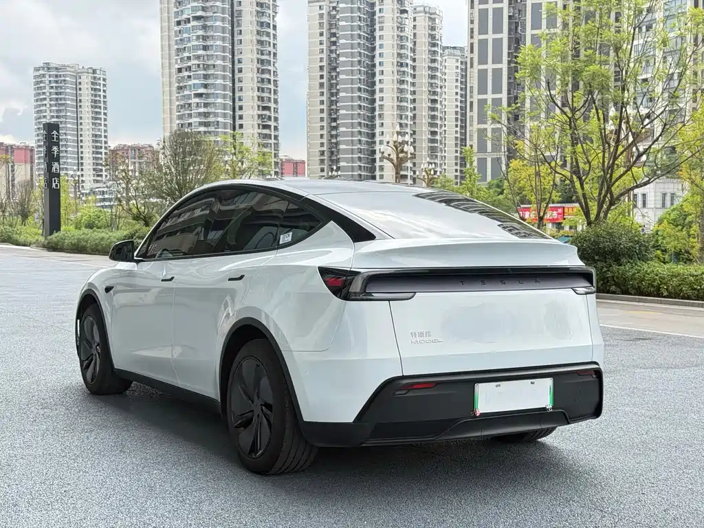 Tesla Model Y — миниатюра 10