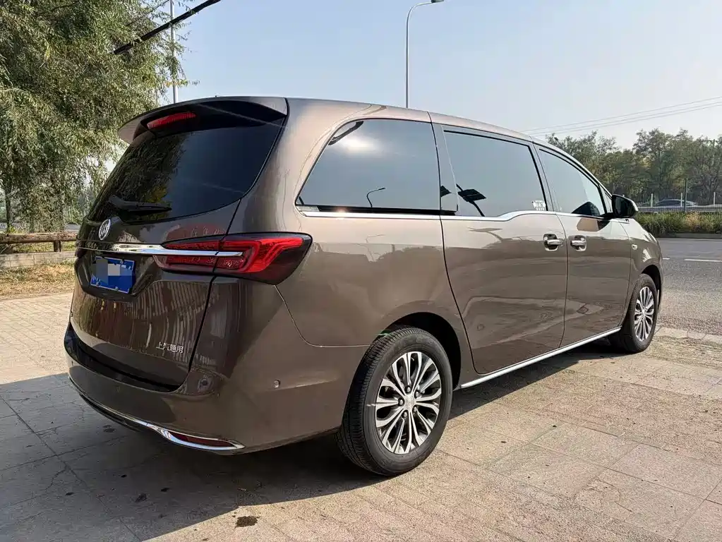 Buick GL8 — миниатюра 4