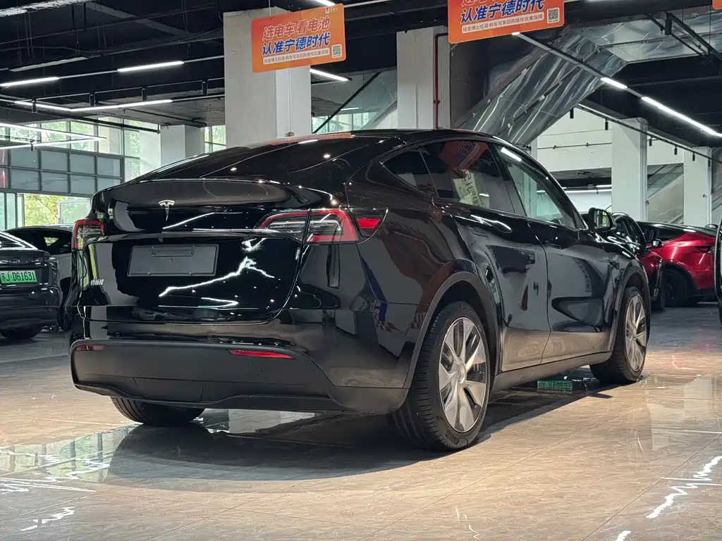 Tesla Model Y — миниатюра 5