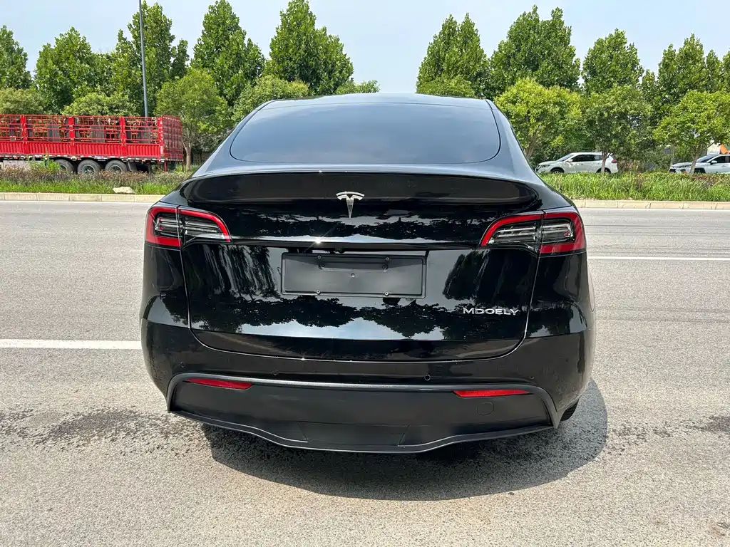 Tesla Model Y — миниатюра 14