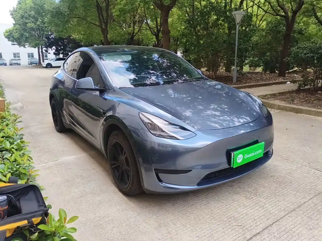 Tesla Model Y — миниатюра 4