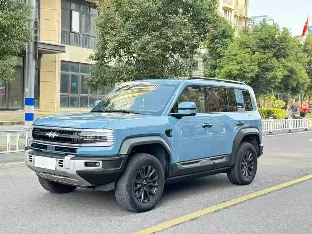 FANG CHENG BAO LEOPARD 5