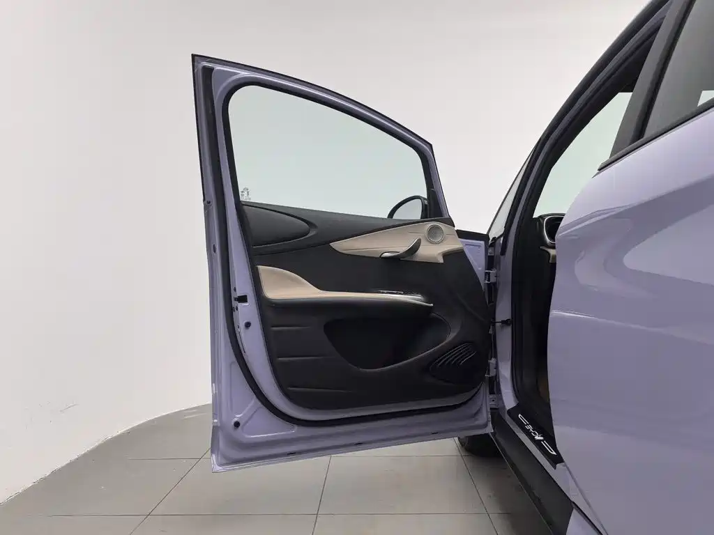BYD Dolphin — миниатюра 8