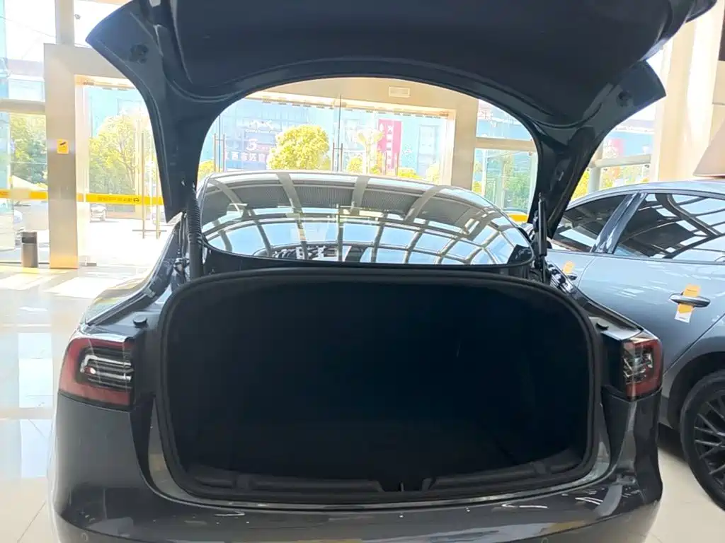 Tesla Model 3 — миниатюра 19