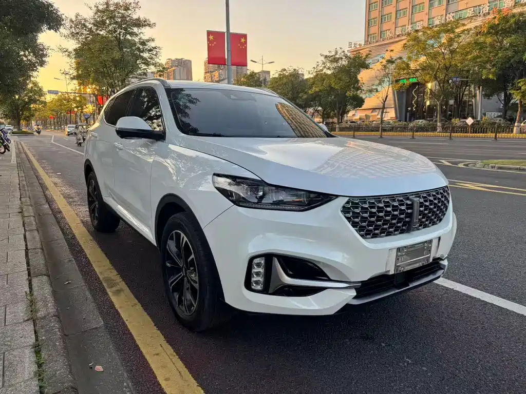 Wey Wey VV6 — миниатюра 3