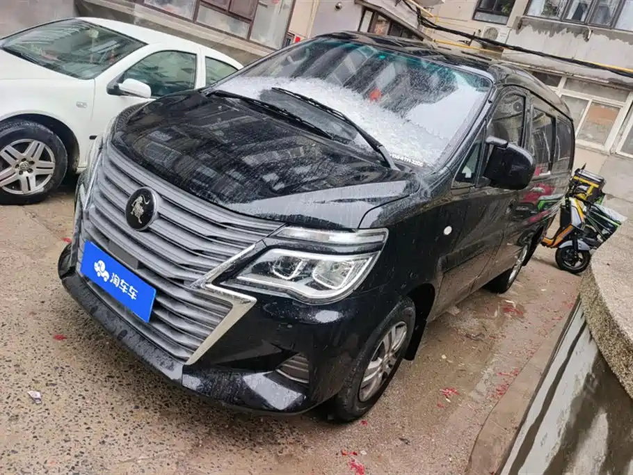 DONGFENG LINGZHI