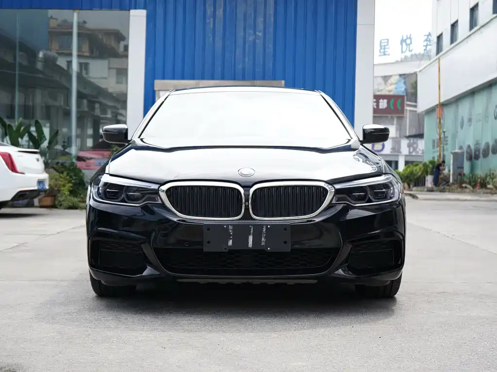 BMW 5 Series — миниатюра 2