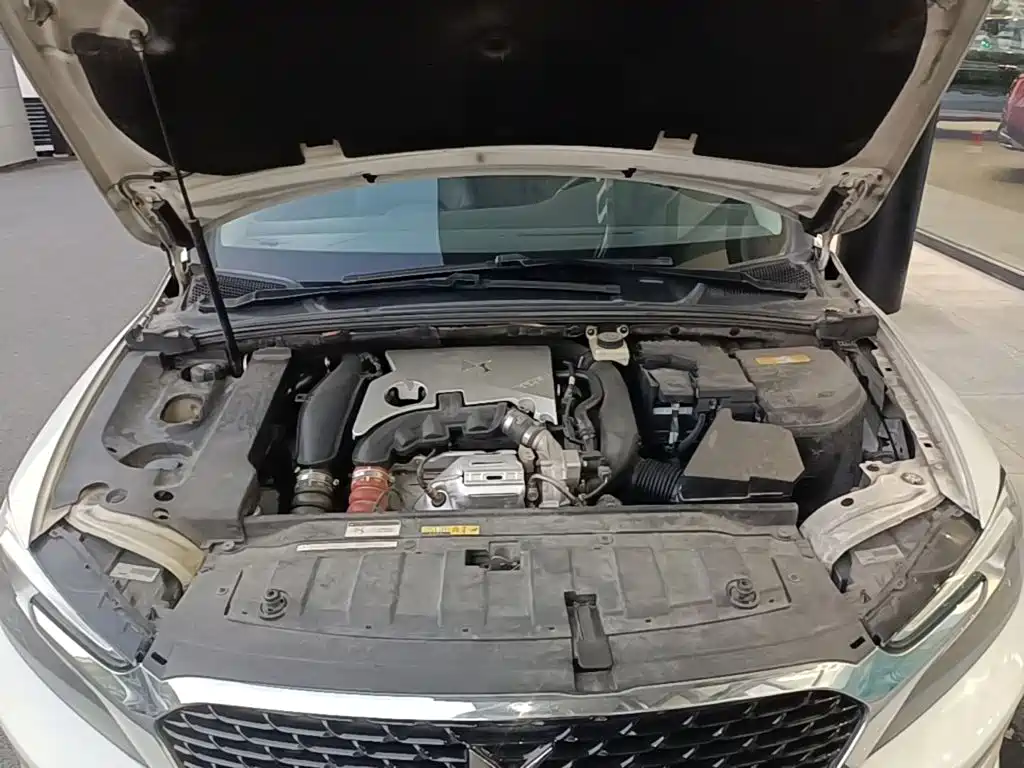 DS DS 4S — миниатюра 25