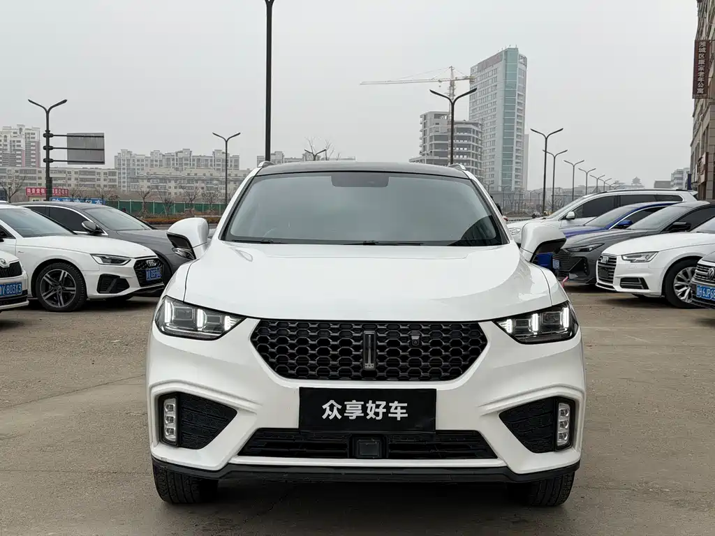 WEI PAI WEI BRAND VV5