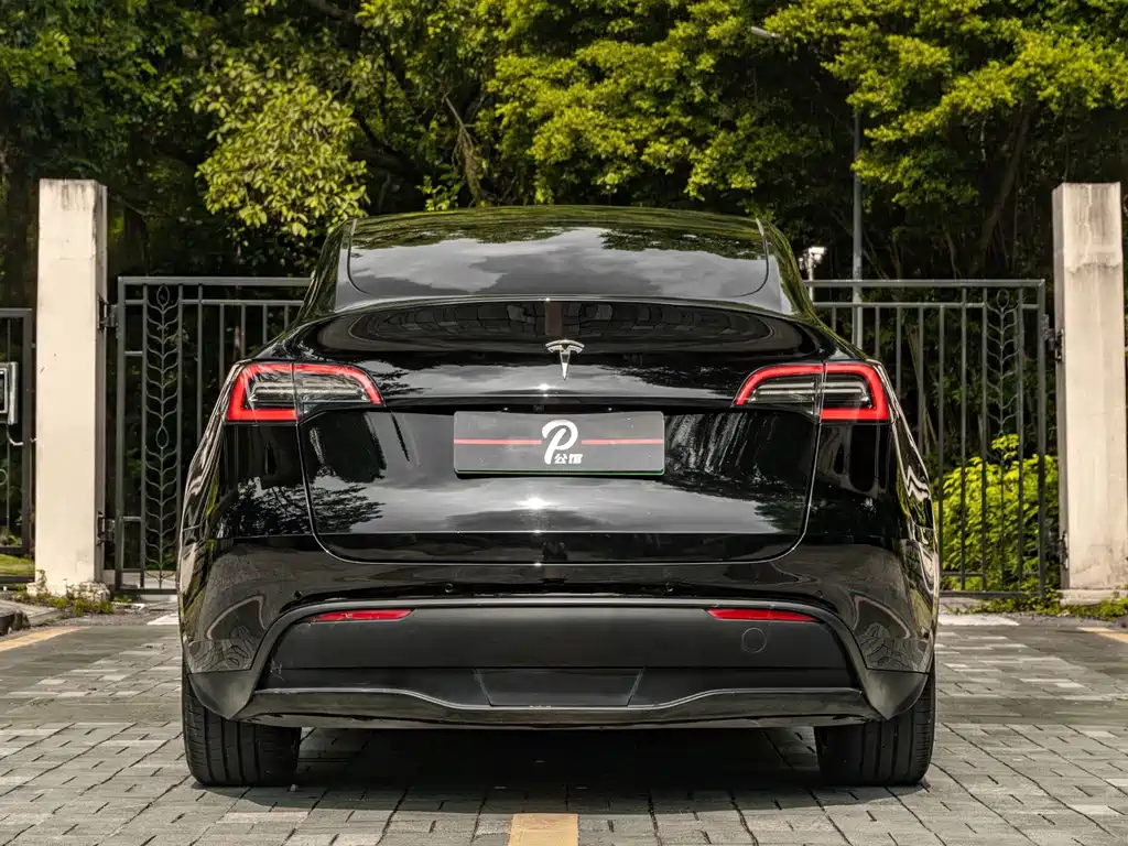 Tesla Model Y — миниатюра 5