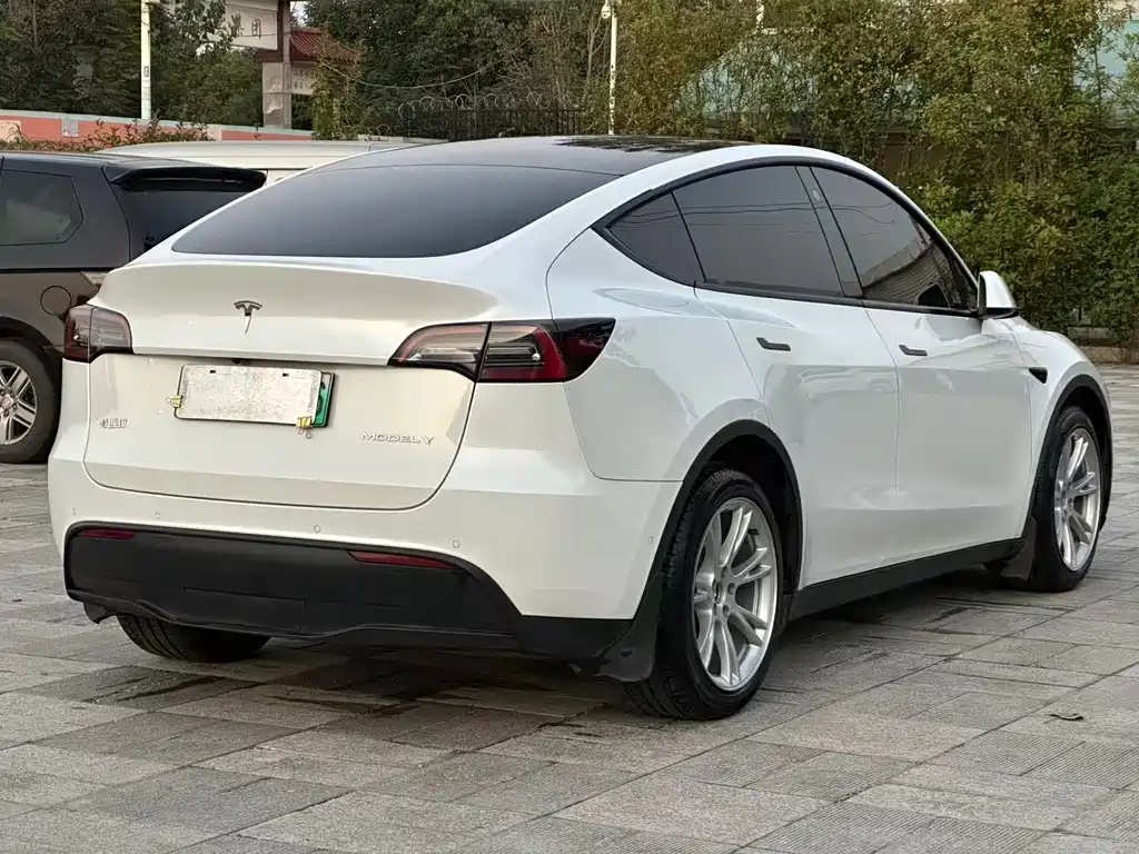 Tesla Model Y — миниатюра 7