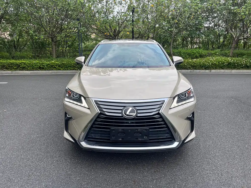 Lexus RX 300 2WD Elite Edition China V, фото 2