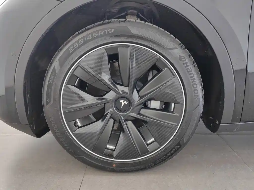 Tesla Model Y — миниатюра 17