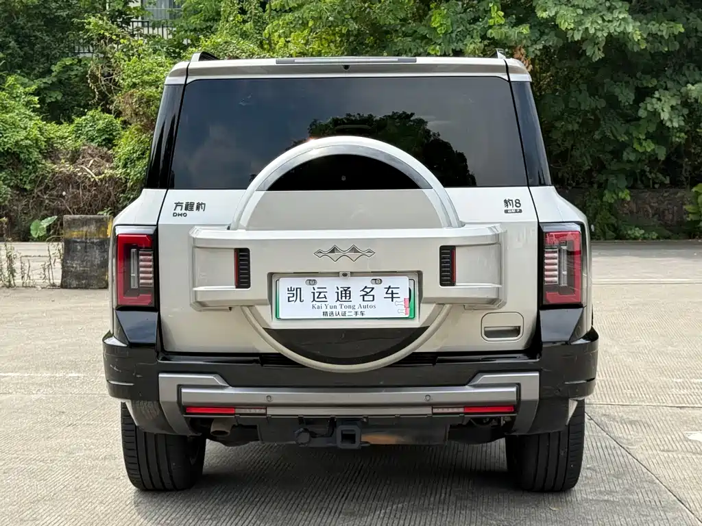 Fang Cheng Bao Leopard 8 — миниатюра 15
