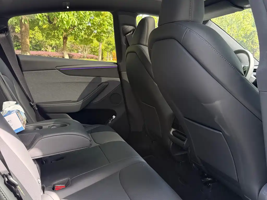 Tesla Model Y — миниатюра 8