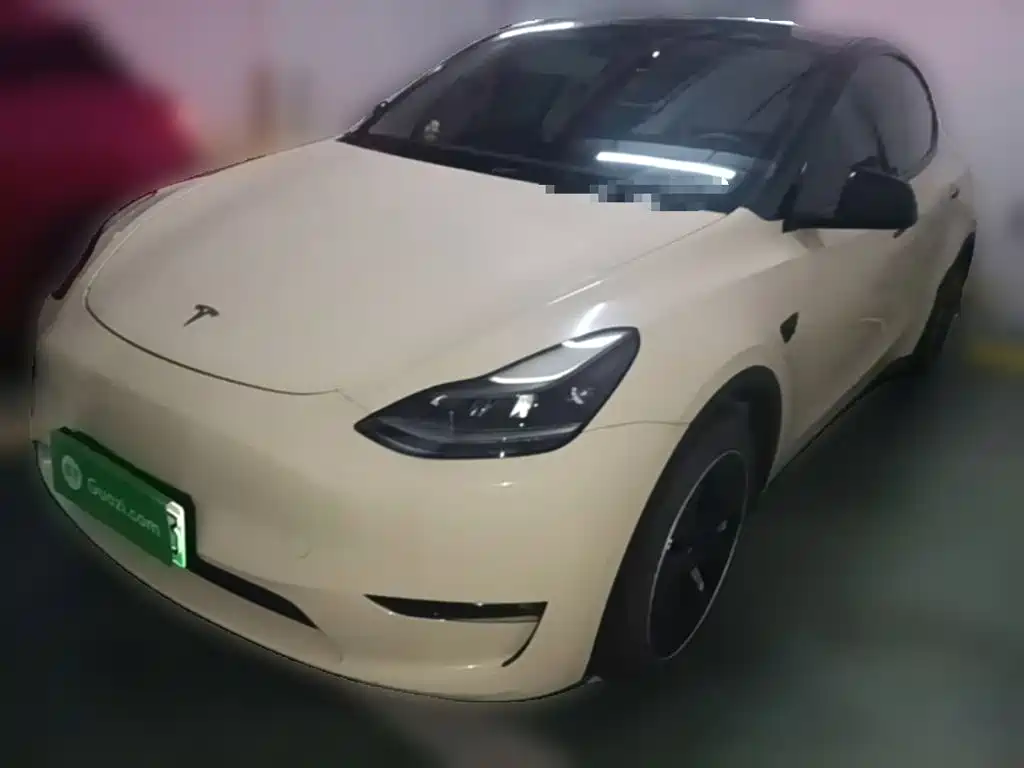 Tesla Model Y — миниатюра 2