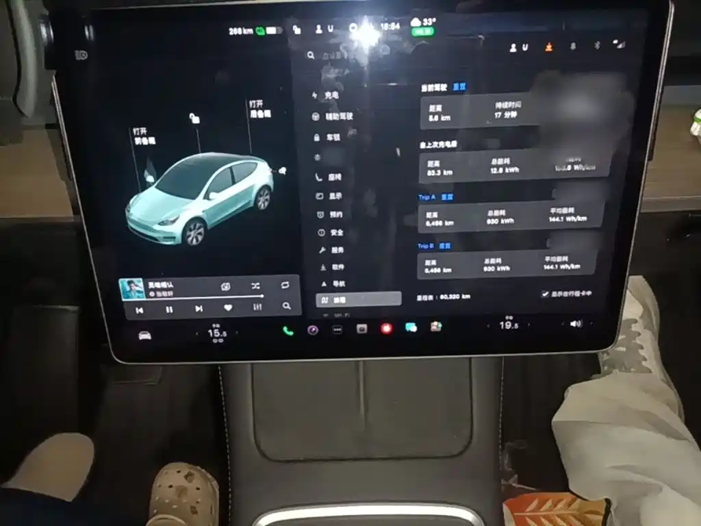 Tesla Model Y — миниатюра 6