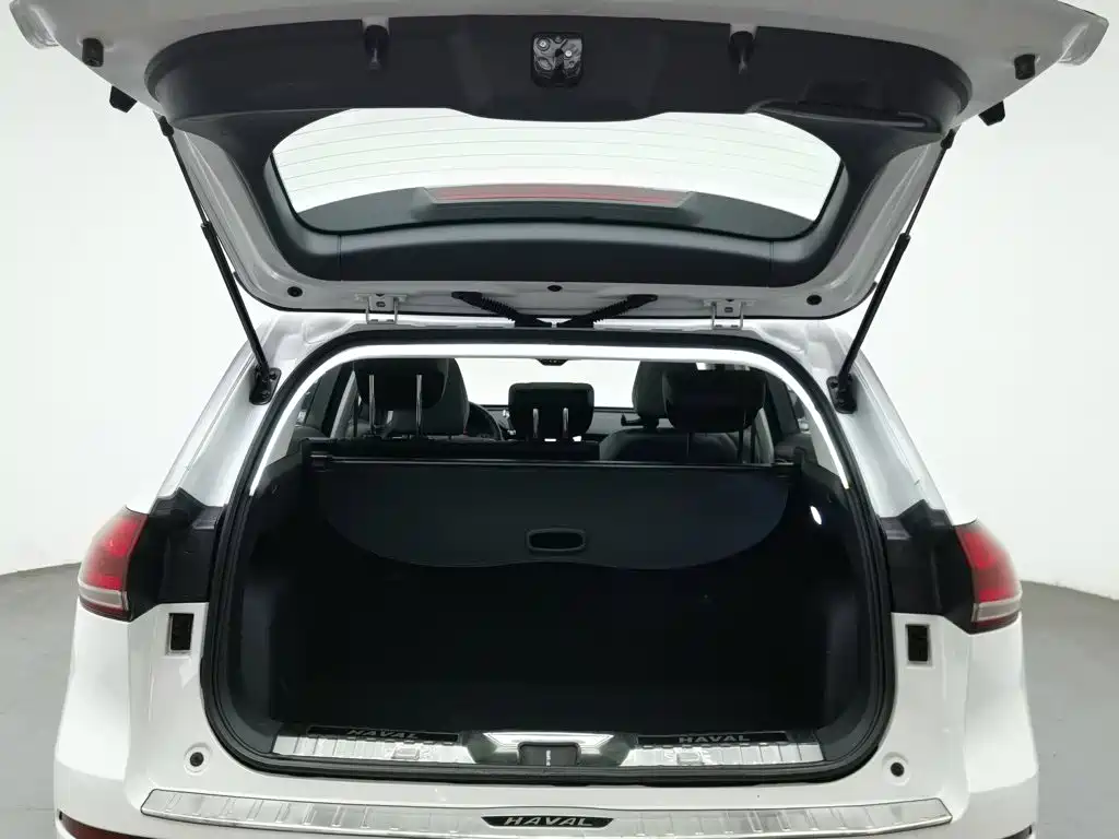 Haval H6 — миниатюра 16
