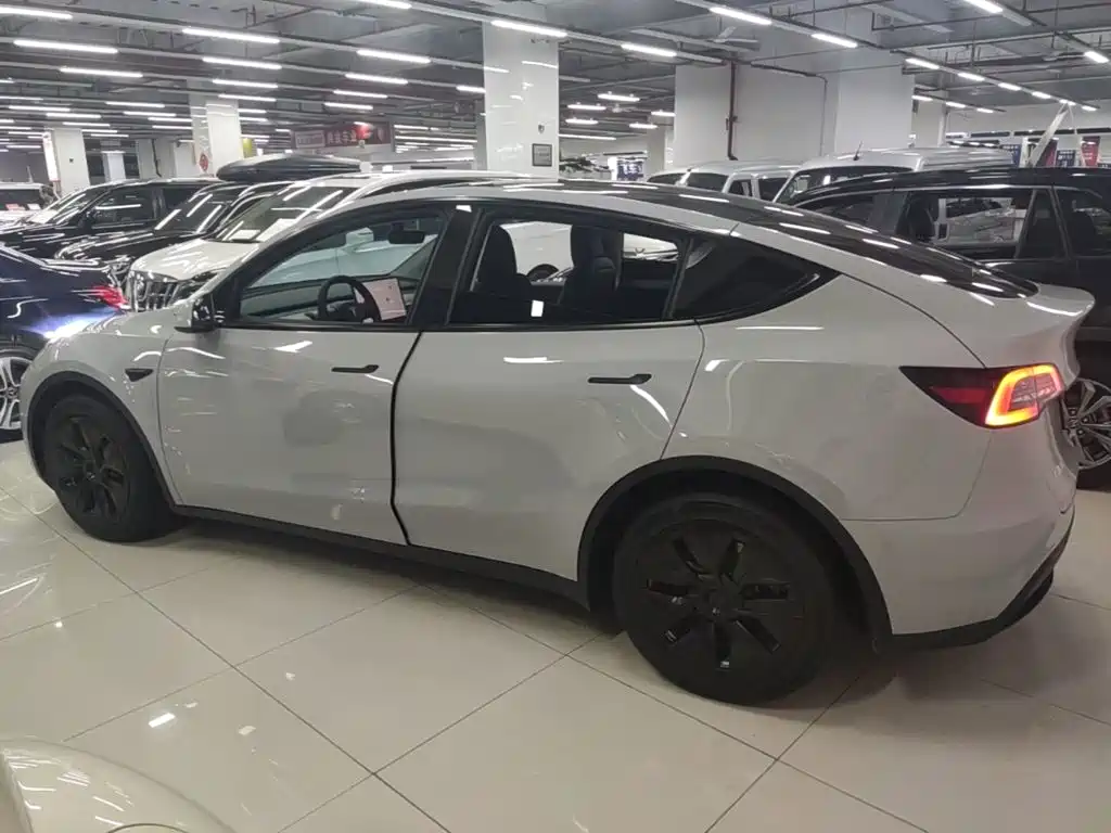 Tesla Model Y — миниатюра 5