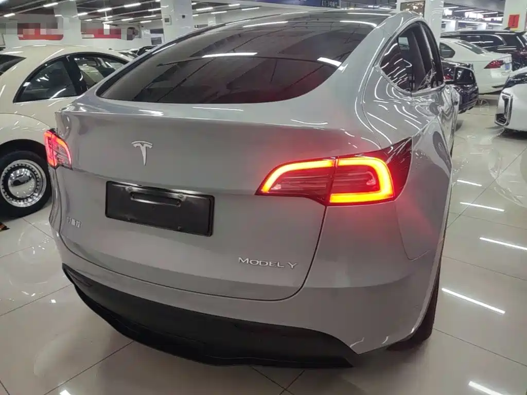 Tesla Model Y — миниатюра 6