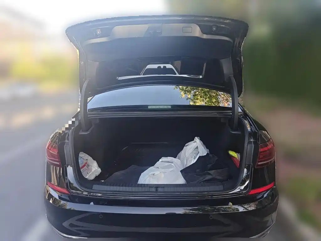 Volkswagen Passat — миниатюра 10