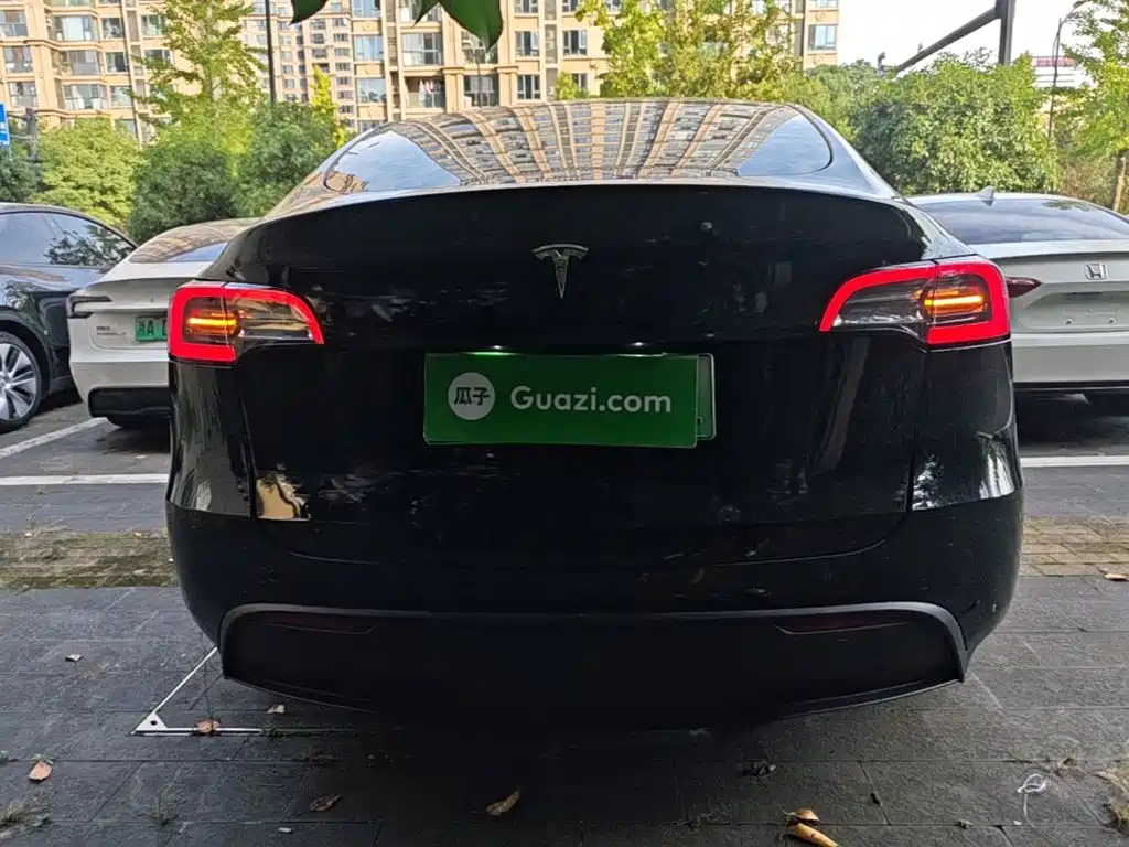 Tesla Model Y — миниатюра 6