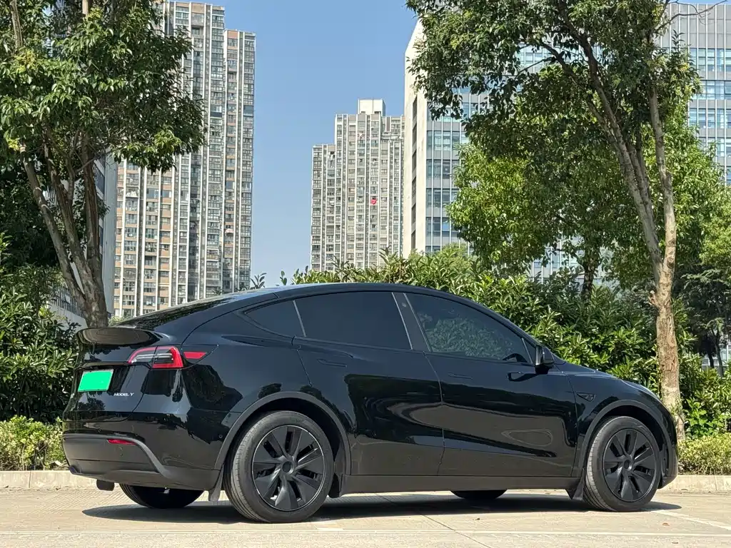 Tesla Model Y — миниатюра 5